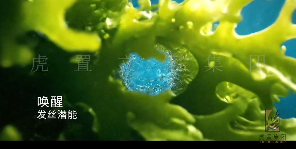 AI产品广告为什么比较受欢迎